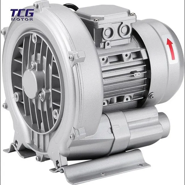double stage air blower motor